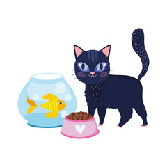 pet shop, black cat fish kitten bowl food animal domestic cartoon