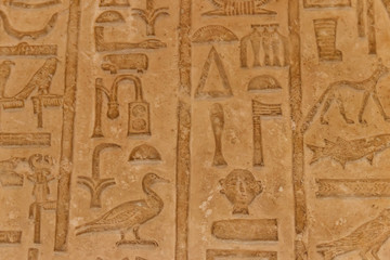 Ancient egyptian hieroglyphs carved on the stone wall