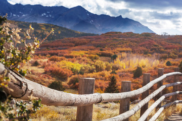 Autumn in Colorado