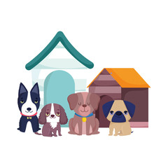 pet shop, cute little dogs sitting different breed and houses animal domestic cartoon