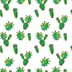 Seamless pensils colors  pattern with cactuses. .colored pencil pattern. different cacti on a white  background. .prickly houseplant