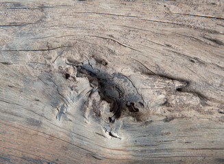 Cracked patterns of old wood planks textured and background.