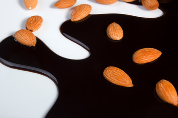 Almonds and Melted Chocolate