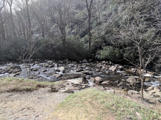 mountain river in the forest