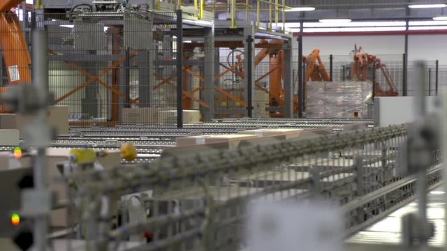 Packed boxes travel on automated rollers as robotic arms palletize them in warehouse.