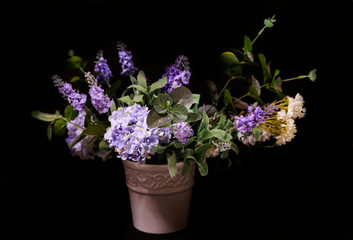 lilac flowers in pot