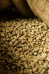 Green coffee bean raw in sack with scoop