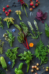 different kinds of herbs on black background