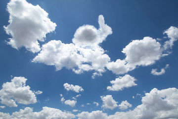 Bunny-shaped clouds
