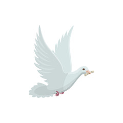 Dove with roll of newspaper in beak vector isolated icon. White pigeon, bird delivering mail