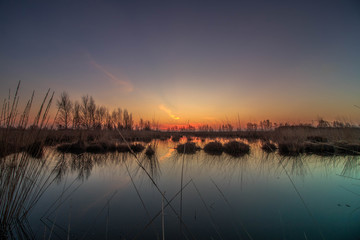 Sonnenaufgang im Moor