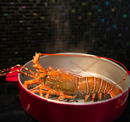 Steam Spiny lobsters in hot pot, Cooked Organic Spiny lobsters in hot steam pot.