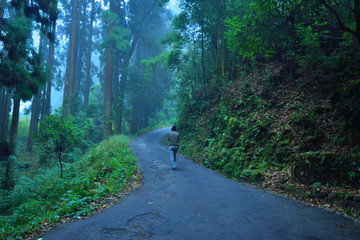 A man walking through a road covered in fog.