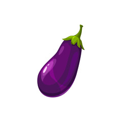 Eggplant veggie food in realistic design isolated. Vector purple ripe aubergine vegetable, Guibea squash. Fruit of brinjal edible vegetarian food, farm and agriculture product. Common aubergine