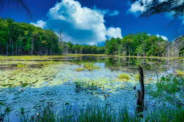 Pond in Ipswitch Massachusetts USA