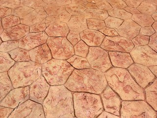 dry cracked earth