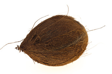 Coconut isolated on white background
