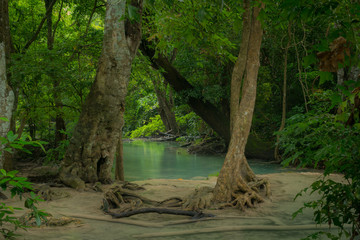 Fototapeta premium In the Thailand Jungles of Kanchanaburi is the Fairytale Realm know as Erawan