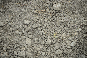 soil background and texture 