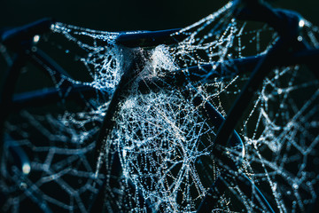 Spider web with dewdrops on a green chain link fence in the morning light