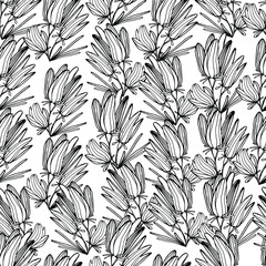 Pattern with wild, summer flowers. Bell flower. Coloring book for children and adults with delicate beautiful summer flowers. Decorative flower of various shapes. For textiles, wallpaper, coloring. 