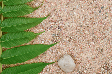 Stones and palm branch on the sand.