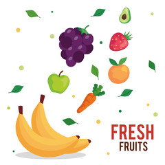 banner with banana and fresh fruits vector illustration design