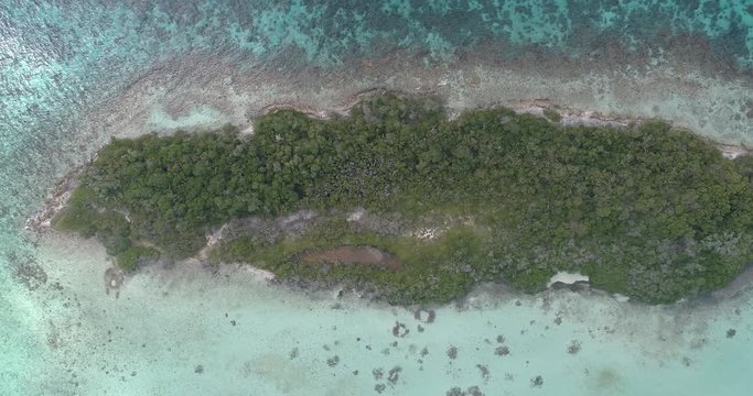 Maseta Cote island Los Roques Venezuela Caribbean Sea. Blue water, Green mangrove. Aerial view constant height. Zenith shot