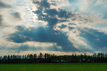 畑に降り注ぐ光芒