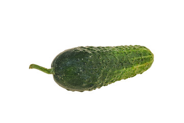 Green ripe fresh cucumber over background