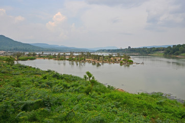 Green tropical forest and wide river with cloudy sky