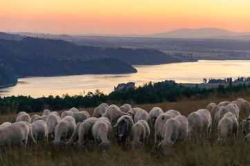 sunset lake © Albert