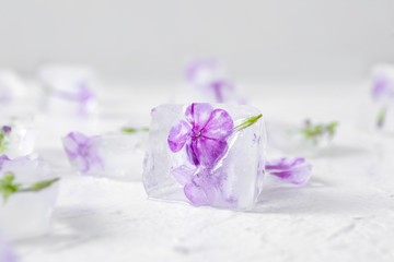 Fototapeta na wymiar Frozen flowers in ice on white background
