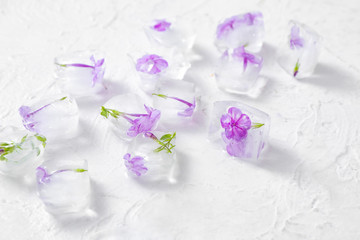 Fototapeta na wymiar Frozen flowers in ice on white background