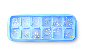 Tray with frozen flowers in ice on white background