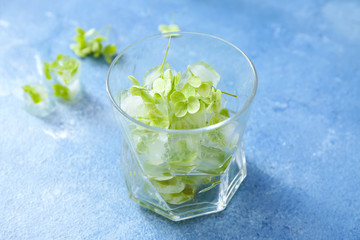 Glass with frozen flowers in ice on color background