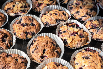 Home made Blueberry Muffins in tray. Berry, bakery.