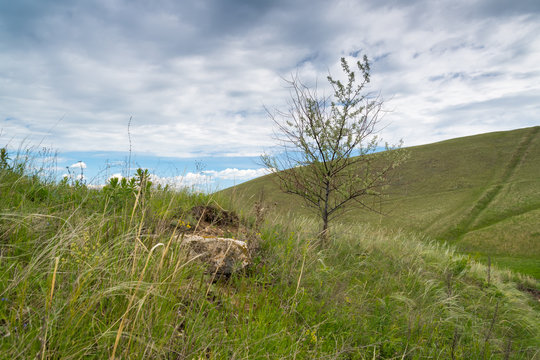 Landscape images of nature near the village of Shigony