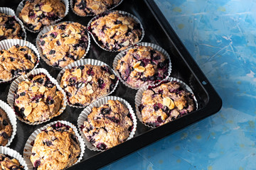 Home made Blueberry Muffins in tray. Berry, bakery.
