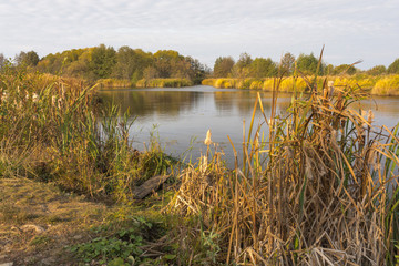 Landscape pictures taken around the village Shigony, on the river Cheserek and its surroundings