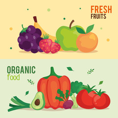 banner of fresh fruits and organic food, concept healthy food vector illustration design