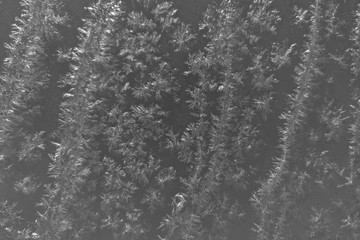 There is a frost pattern on the gray glass. The beginning of cold weather.