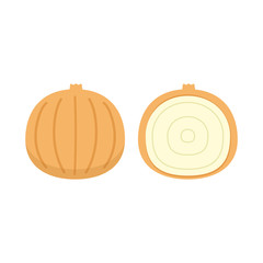 Onion vector. Onion on white background.