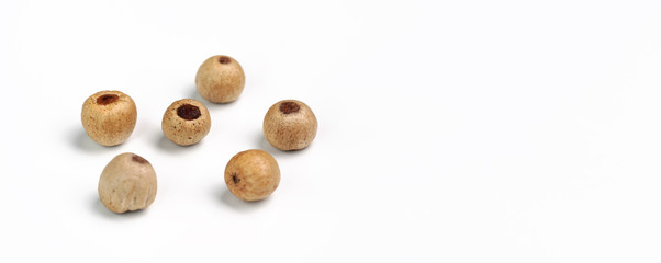 Six dried white peppercorns isolated on background, closeup detail