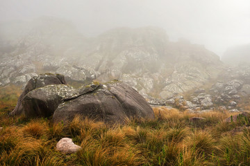 Mist rolling over brown green grass growing near lichen covered rocks, typical scenery seen in...