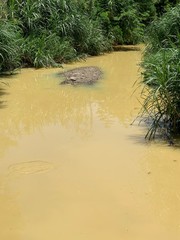 Sand dunes in the middle of the river