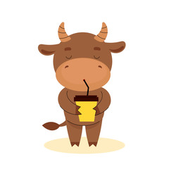A cute little bull stands and drinks coffee or cocoa. Happy New Year.Chinese new year symbol.Christmas card. 2021 year.Flat vector cartoon illustration isolated on white background