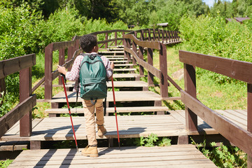 Obraz na płótnie Canvas Rear view of little boy with backpack and sticks walking along the wooden bridge in the forest