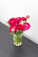 High angle closeup of bright pink ranunculus flowers in glass jar on dark brown shelf against white wall (selective focus)