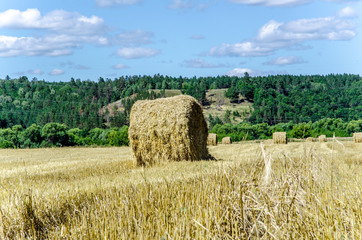 Fototapeta premium haystack in a field in august